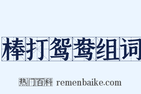 棒打鸳鸯组词是什么意思的图片